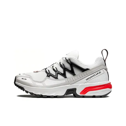 SALOMON ACS + Повседневная обувь Низкий Топ Серебряный Мужская