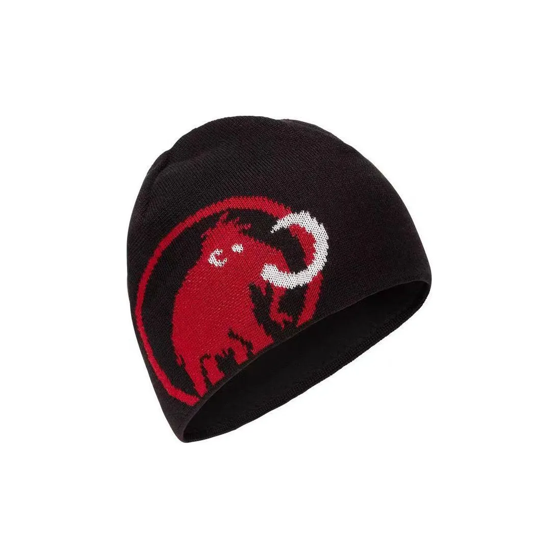 MAMMUT Шерсть Бини Унисекс Многоцветные