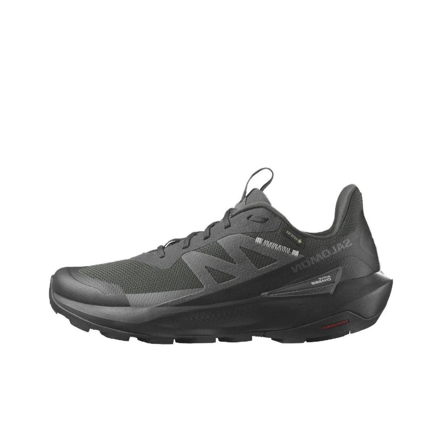 SALOMON Elixir Activ GORE TEX 'Phantom'