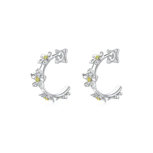 SIS ACC Серьги Женские