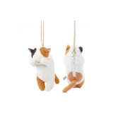 꽃무늬 고양이