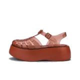 브라운