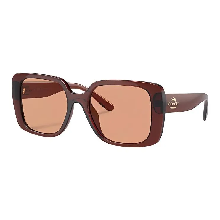COACH   Square Sunglasses Women's Transparent Caramel