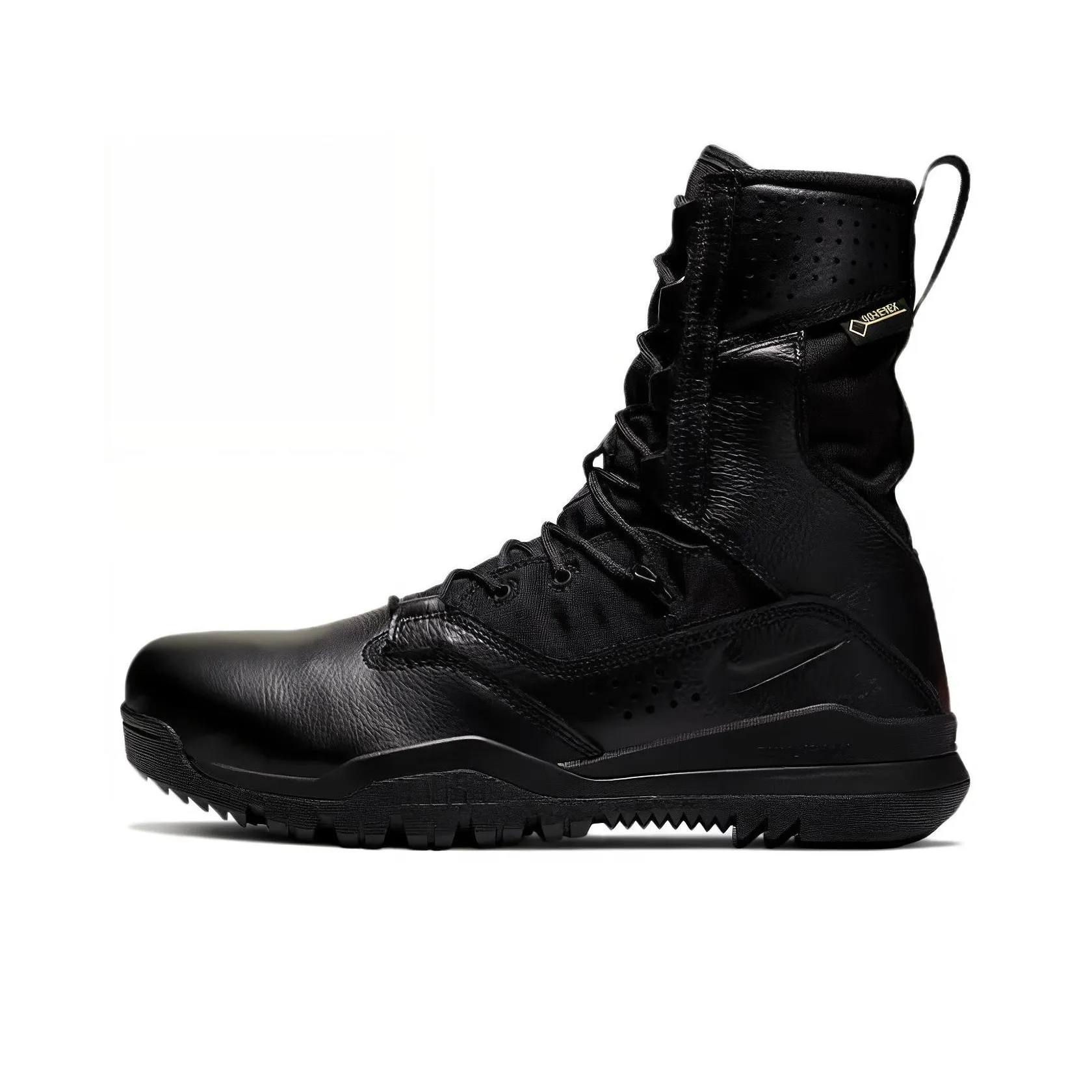 Nike Sfb Field 2 8' GORE TEX Black