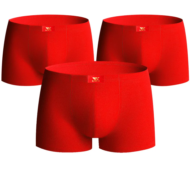 SEPTWOLVES Men Underpants