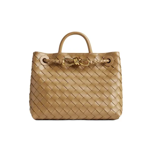 Bottega Veneta Andiamo series Сумки Женские