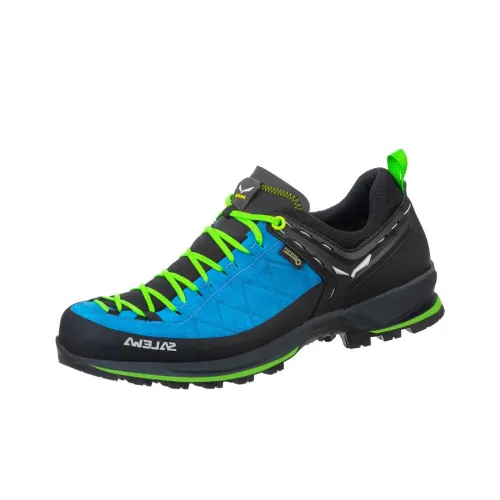 SALEWA Трекинговые ботинки Низкие Сине-зеленые Мужские