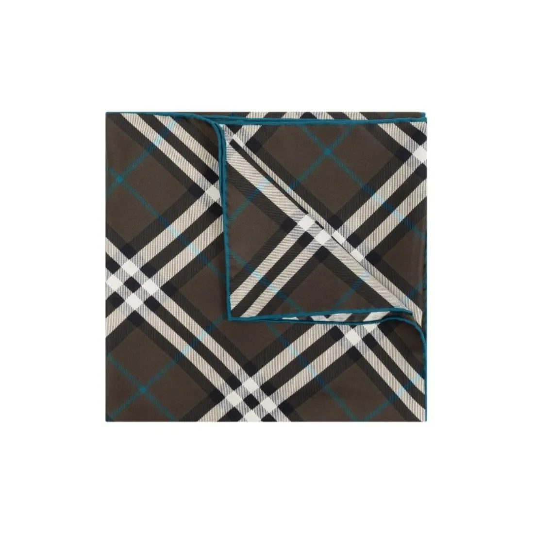 Burberry Silk Scarves Unisex Brown