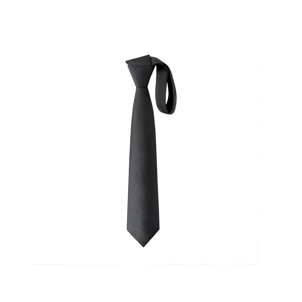 AOKANG Business Suit Accessories Tie Men's