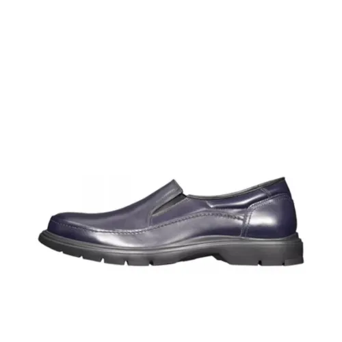Regal Мужские повседневные туфли Low Top Синие Мужские
