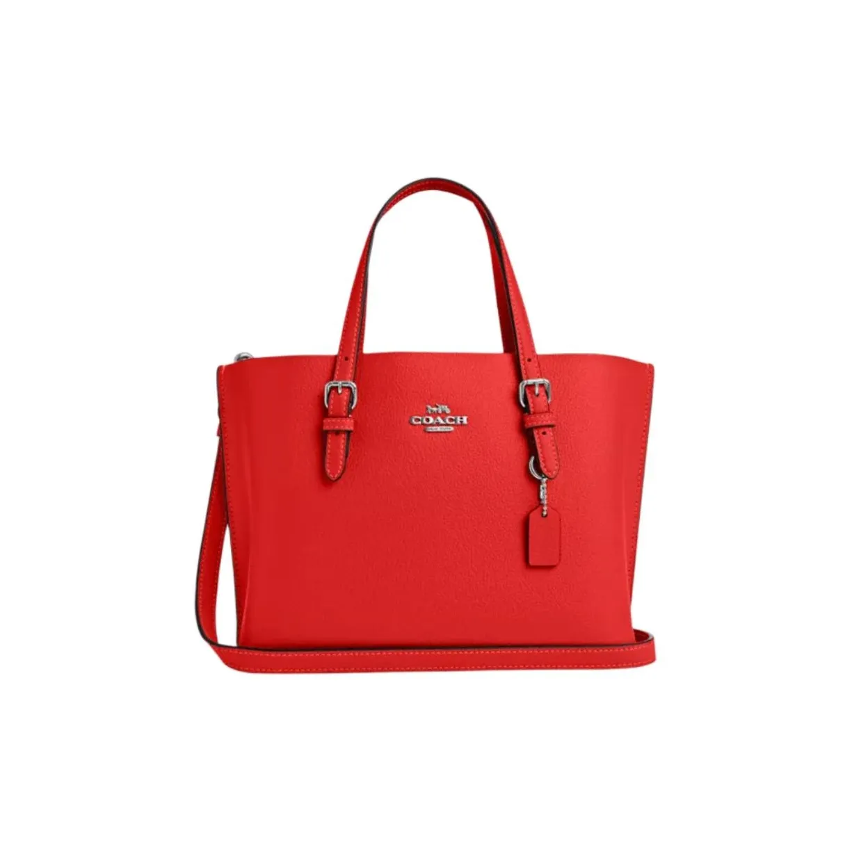COACH Mollie Handbags