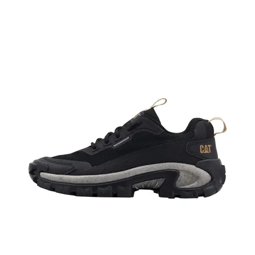 Кошка Уличная обувь Low Top черная унисекс