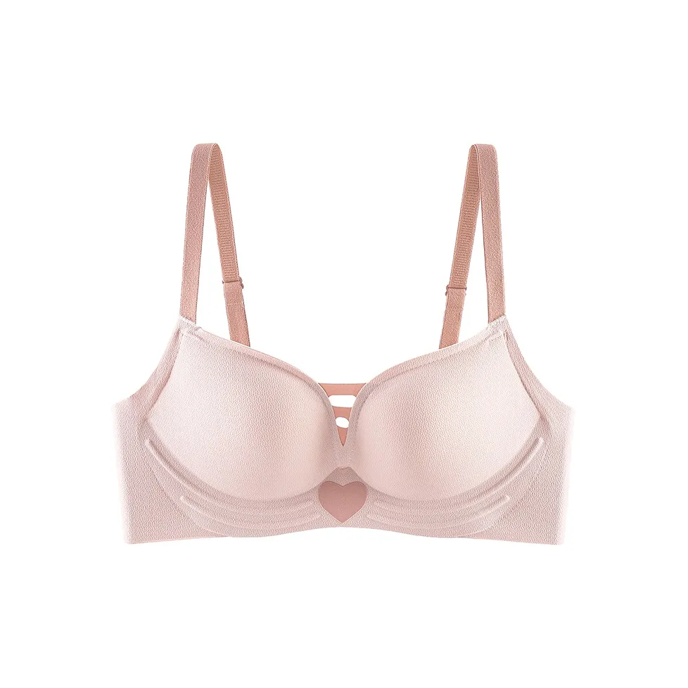 Lanza Women's Bras