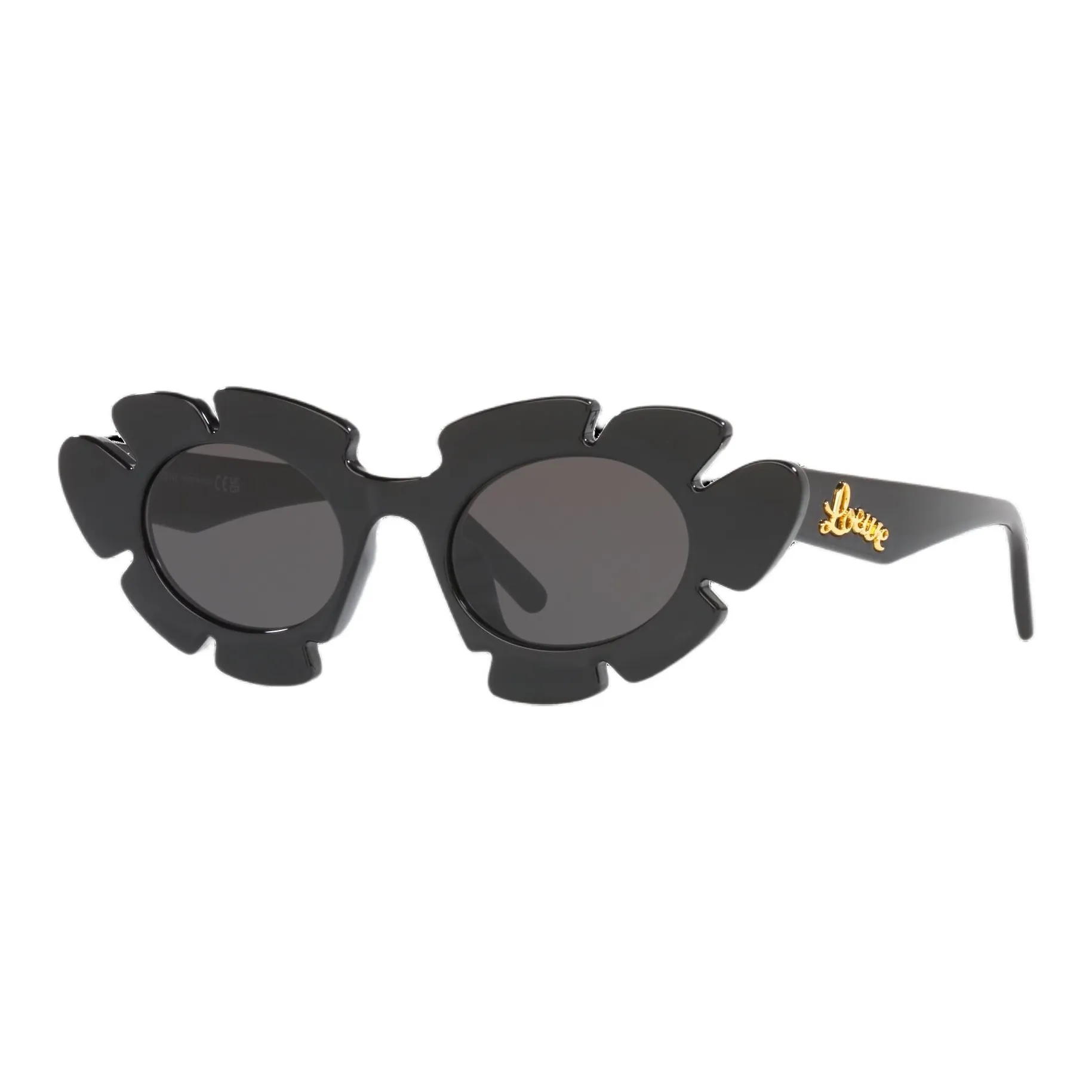 LOEWE Injection Molding Oval Sunglasses Unisex Black