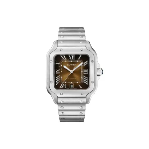 CARTIER Автоматический Механический Movement Мужские SANTOS DE Часы 39,8 мм Коричневый