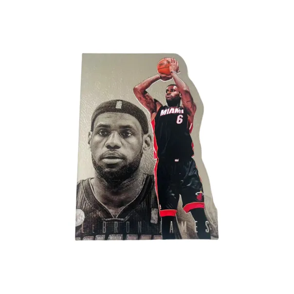 PANINI 13 14 Miami Heat James Conspiracy Игрок с нерегулярной формой Спортивная карта Товар Спортивные карты 1 шт