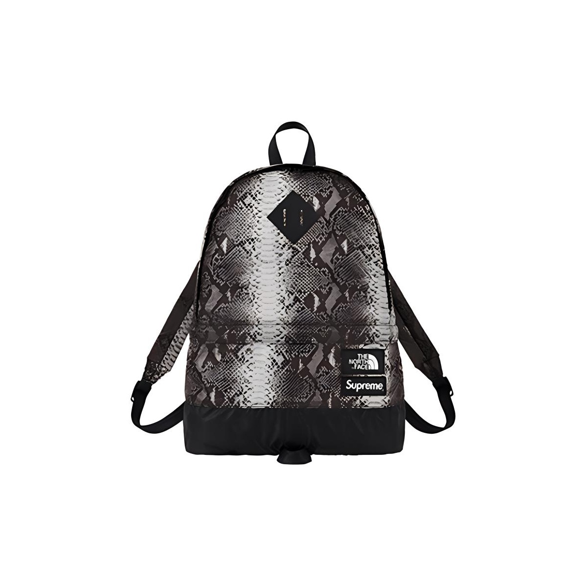 Top Supreme Backpacks of 2025: Style Meets Functionality