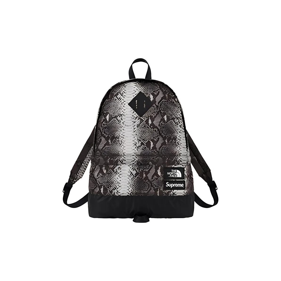 Supreme THE NORTH FACE Supreme SS18 Nylon Backpack Unisex Black