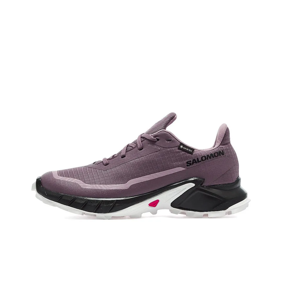 SALOMON Women's Alphacross 5 GORE TEX 'Moonscape' Women's