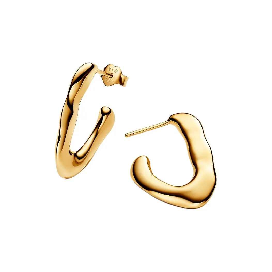 Pandora 14K Gold Plating Earrings Women's Gold