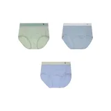 3팩 세트 (그린+셀라돈+블루)