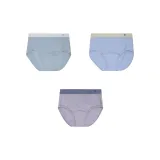 3팩 세트 (셀라돈+블루+퍼플)