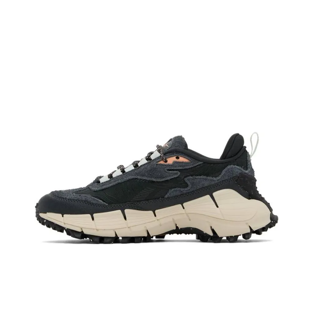 Reebok Zig Kinetica 2.5 Edge 'Pure Grey Peach Glow'