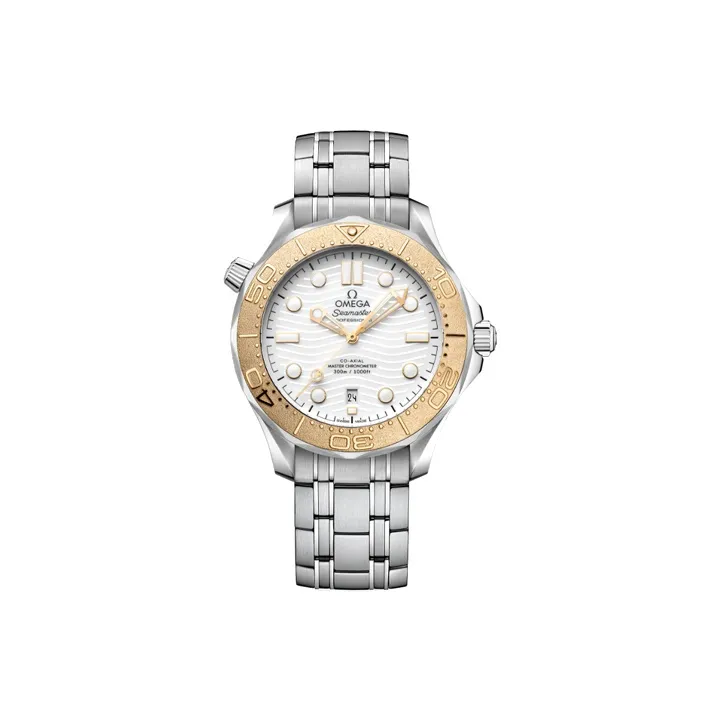 OMEGA Men's Seahorse Series 300m Diving Watch Watch