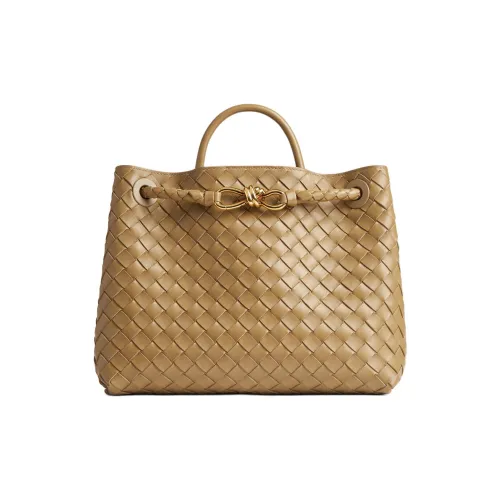 Bottega Veneta Andiamo series Сумки Женские