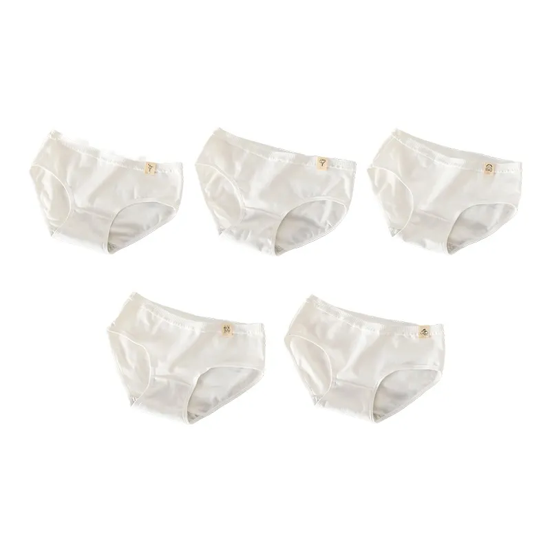 Dichloro Underpants Women's 5 Pack