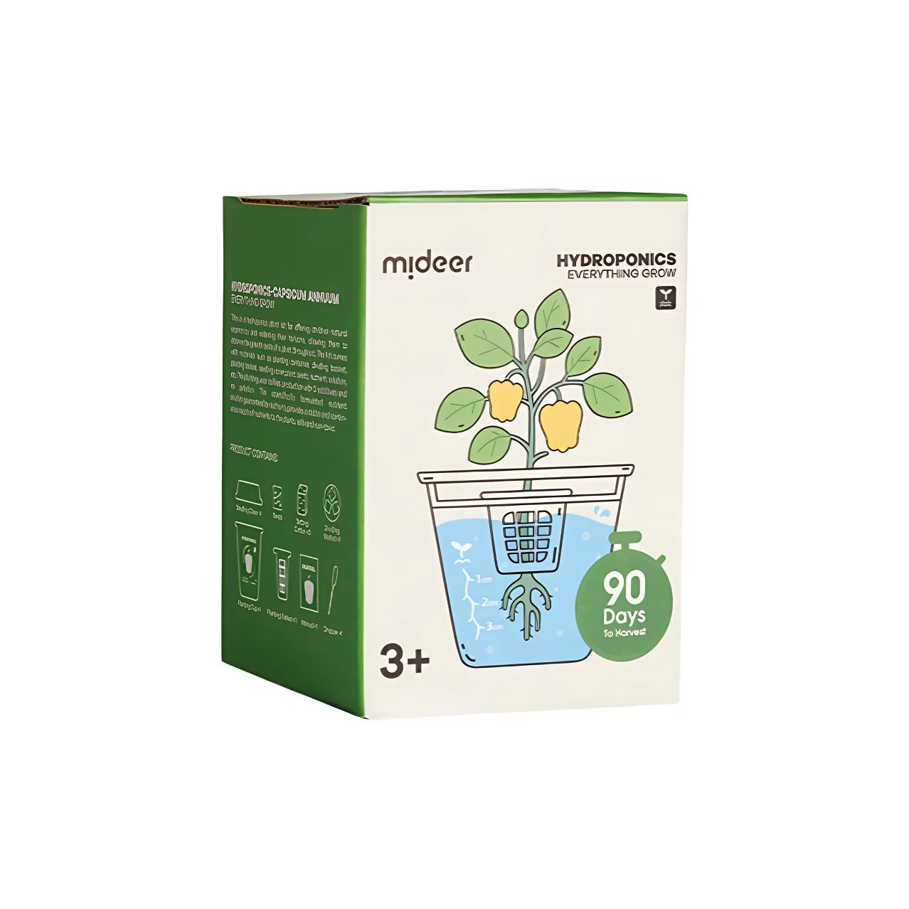 MIDEER Растение GROWTH Набор для наблюдения Коробка Развивающие игрушки