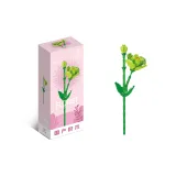 Kumquat 블록 플라워