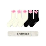 5팩 세트 [부의 상징] [메쉬 원단]