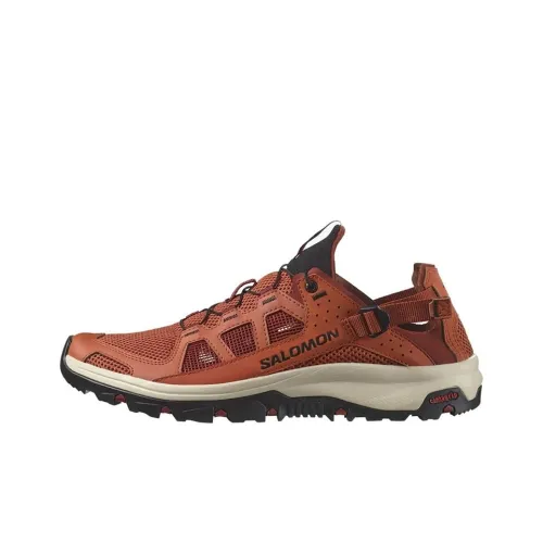 SALOMON Techamphibian 5 Обувь для горных походов Коричневый Мужская