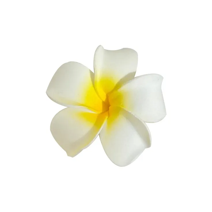 SHUIZHONGYU Заколки для волос Женские