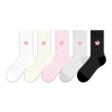 Five pairs 세트 [Misty 와일드 체리 티] [메쉬 원단]