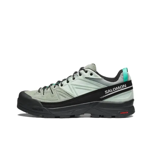 SALOMON X Alp Уличная обувь Низкий верх Черный Белый Серый Унисекс