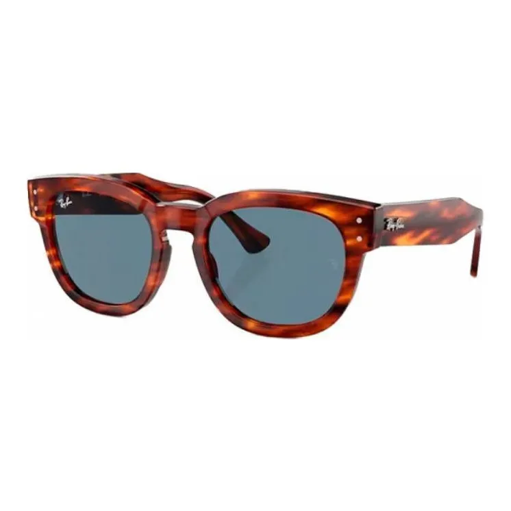 RayBan OVAL SUNGLASSES Унисекс Tortoiseshell