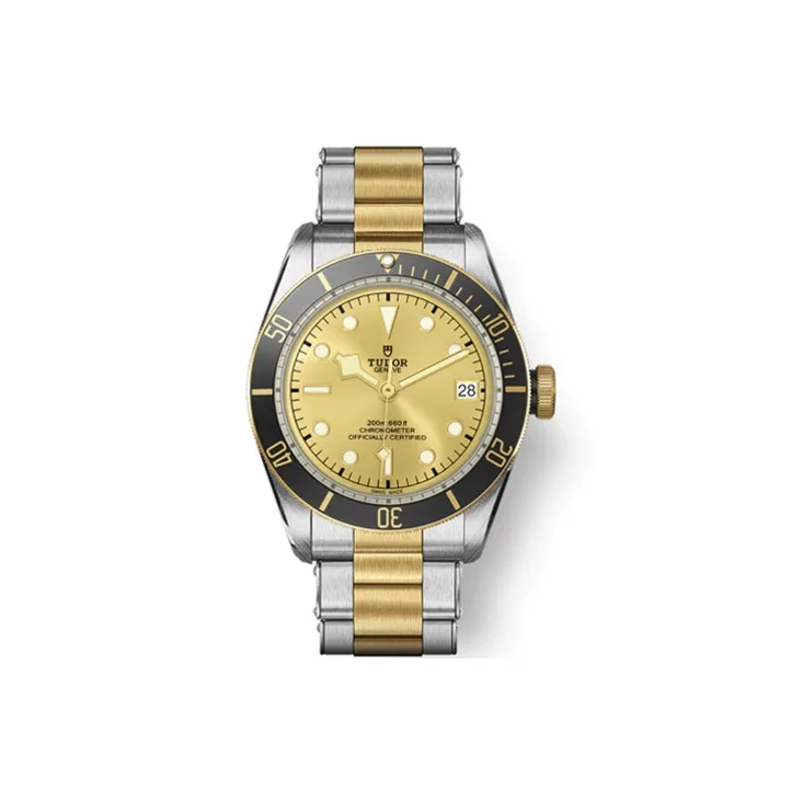TUDOR Men's BLACK BAY Collection Watch