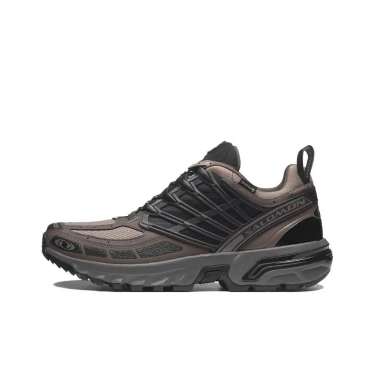 Acs Pro SALOMON GORE-TEX 'Iron Plum Kitten'