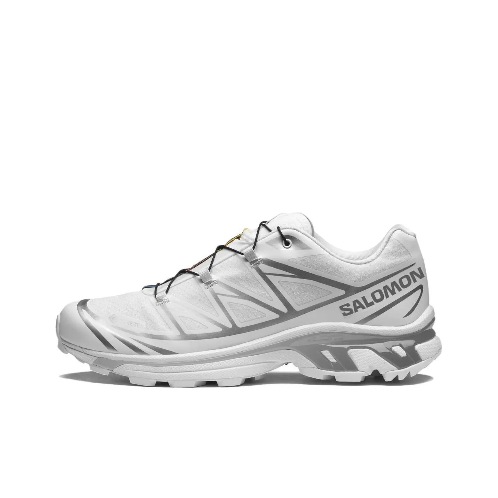 XT 6 SALOMON GORE TEX 'White Silver'