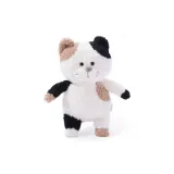 플라워 고양이 고양이