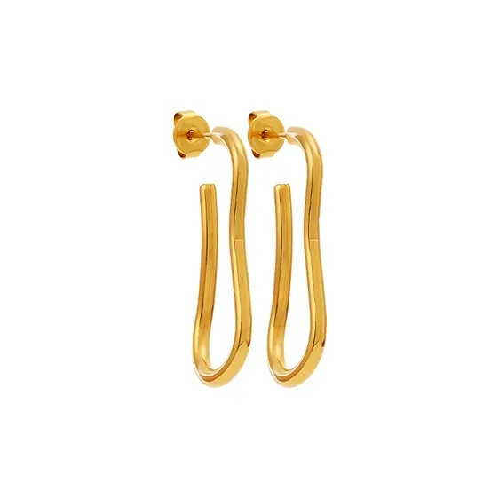 DWCP Серьги из титанового стального сплава Унисекс