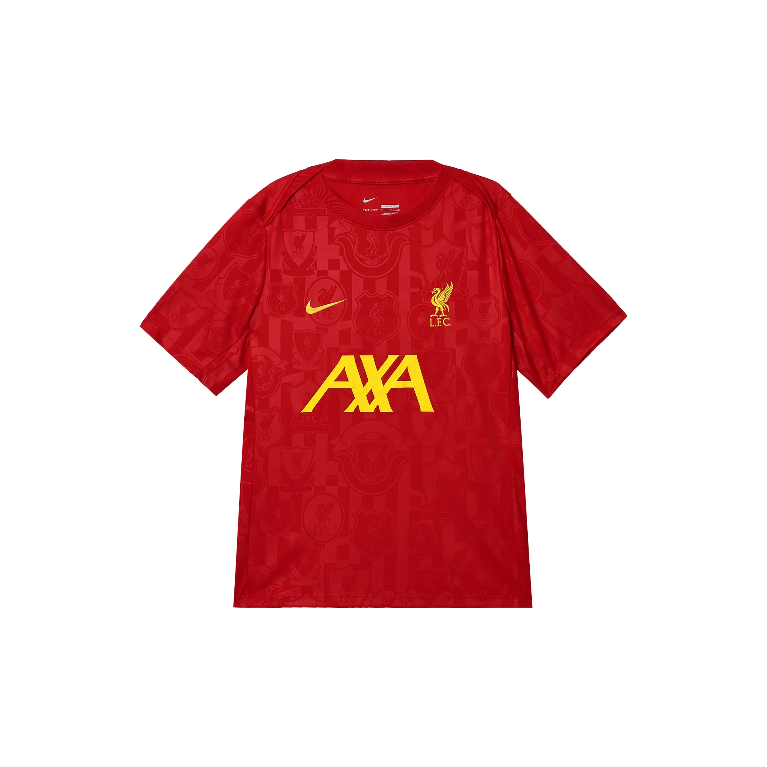Nike Liverpool Fc Academy Pro Men's Nike Dri FIT Soccer Pre Match Short Sleeve Top