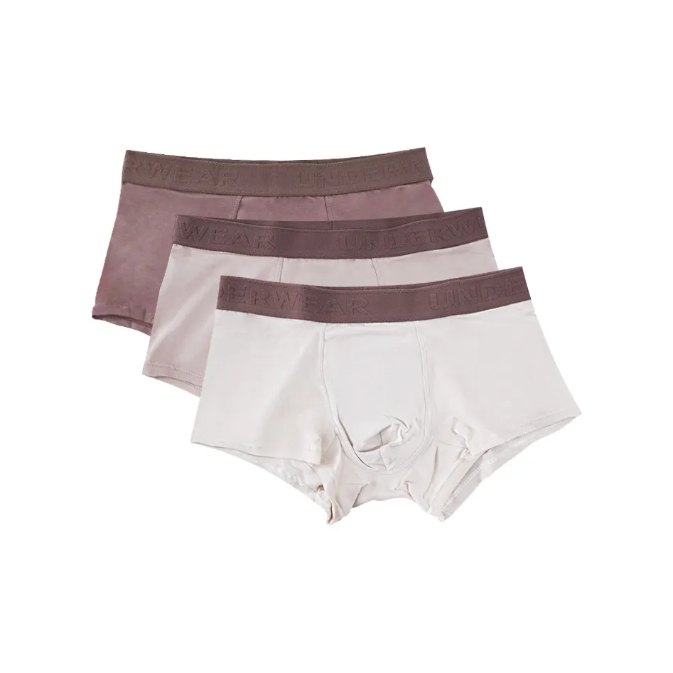 COTTON CHEESE Boxer Briefs Men's 3 Pack