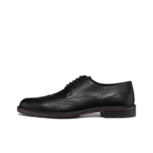 GEOX Мужские повседневные туфли Low Top Черные Мужские