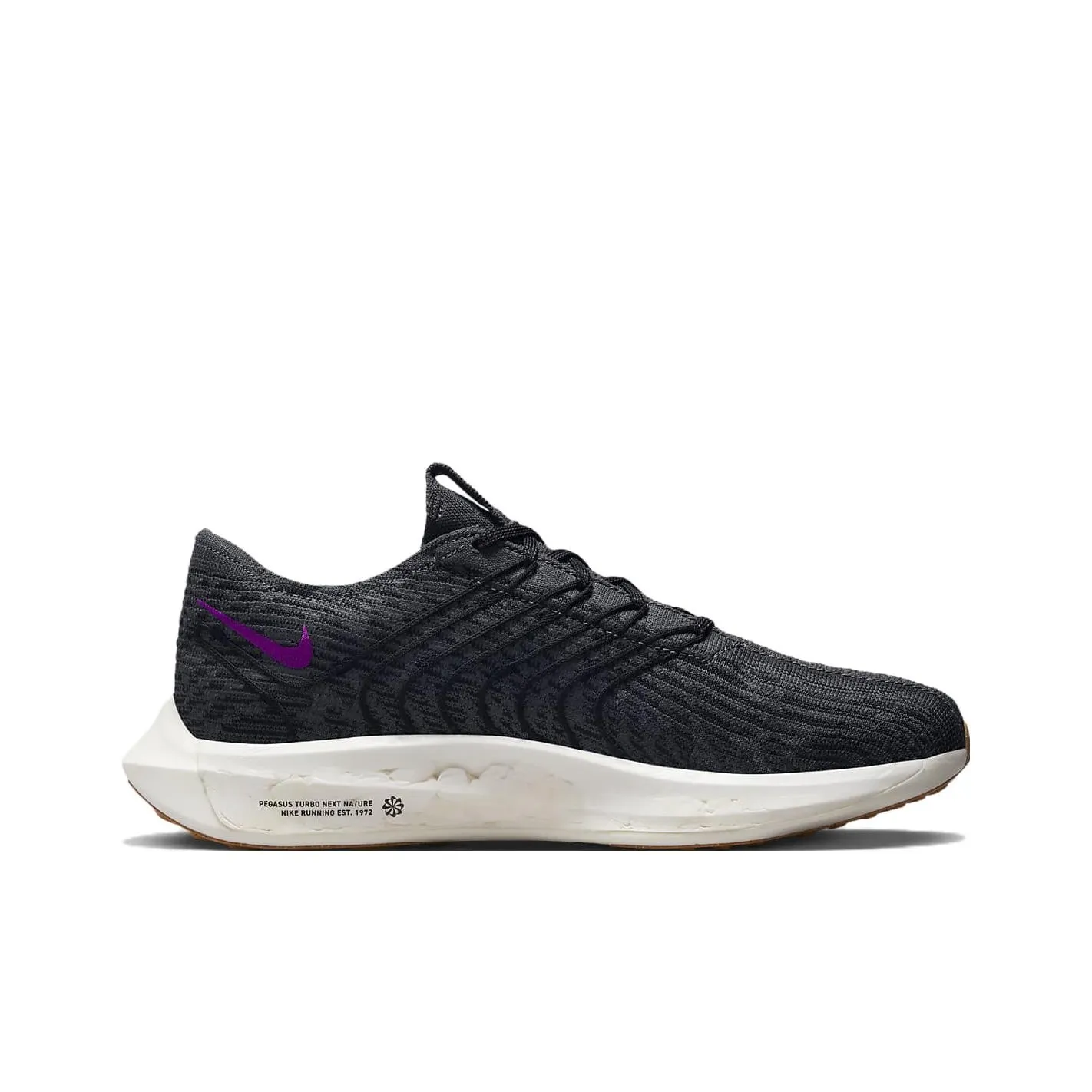 Nike Pegasus Turbo Next Nature Black Vivid Purple