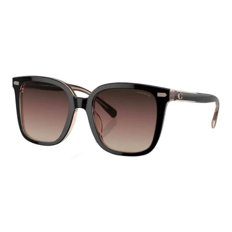 COACH Ацетат Нерегулярная форма Солнцезащитные очки Женские Черный