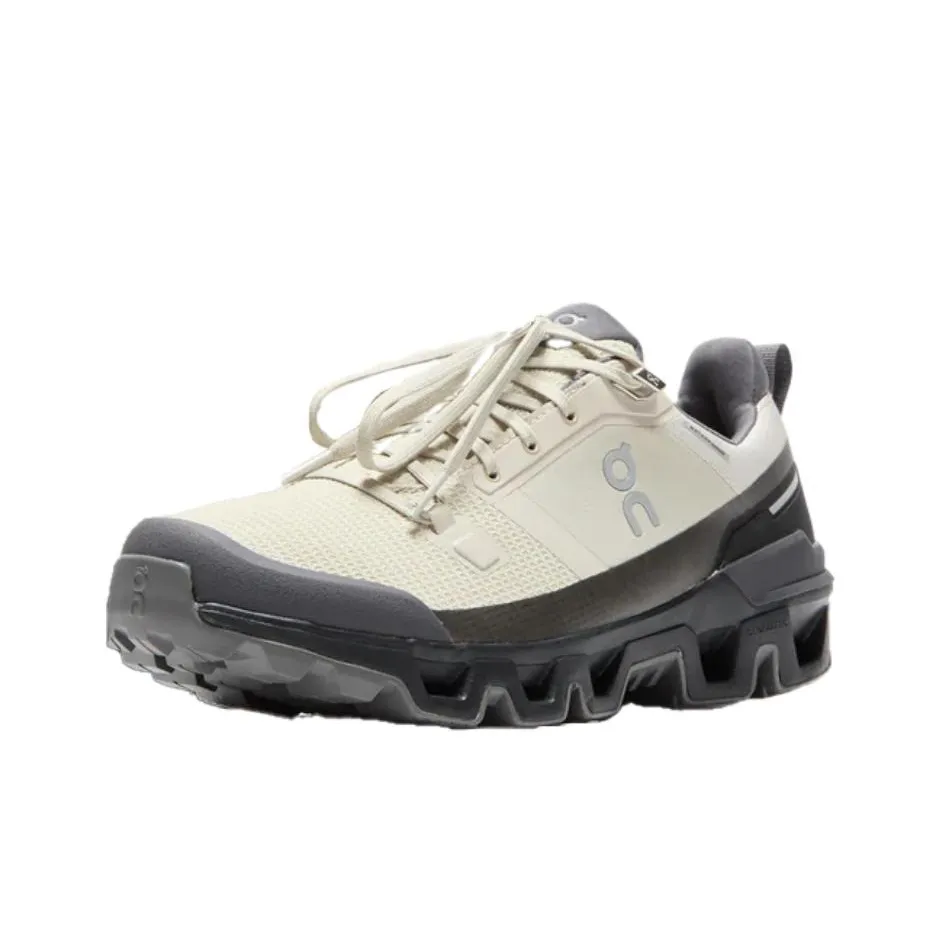 On Cloudwander Anti Slip Wear Resistant Low Top Running Shoes Men's Beige Black
