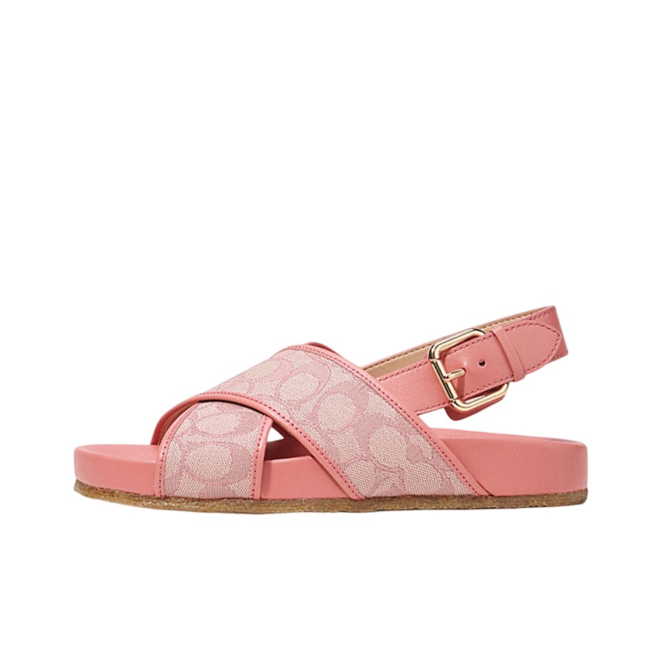 Top 4 Pink Coach Slides You Need in 2024